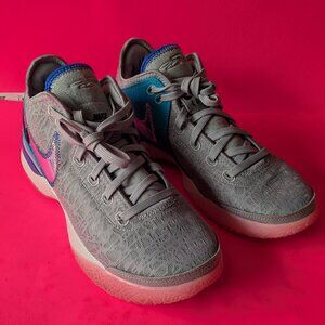 Nike zoom Lebron NXXT Gen 8.5